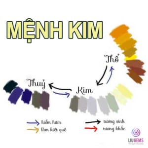 MENH KIM 1